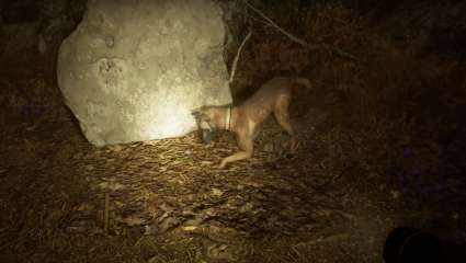 A New Trailer Has Surfaced For The Blair Witch Video Game; Seems Like A Frightening Good Time In The Woods