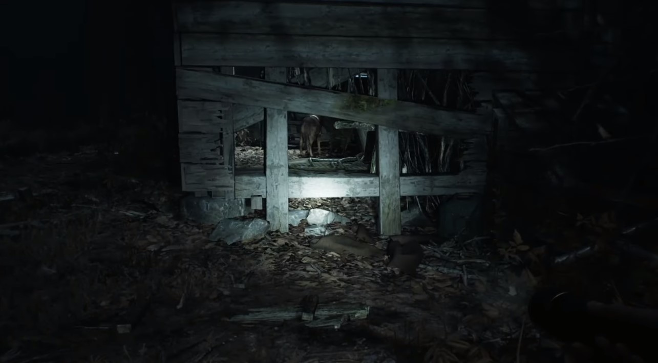 Gameplay Footage For Upcoming Blair Witch Game Released; First-Person POV Adds To Creepiness Factor