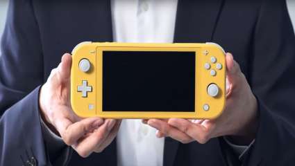 The Switch Lite Will Not Be Replacing The 3DS, According To Reports From Nintendo