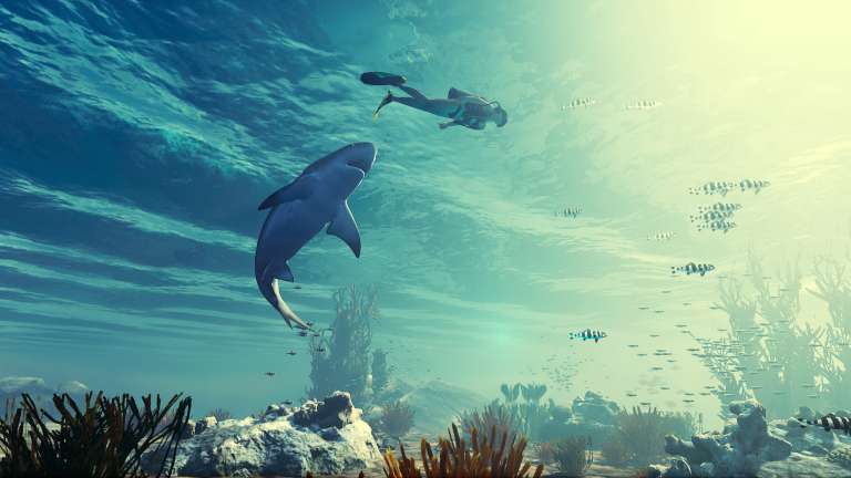 Upcoming Shark-Simulator Game Maneater Open For Pre-Purchase Discount On Epic Game Store