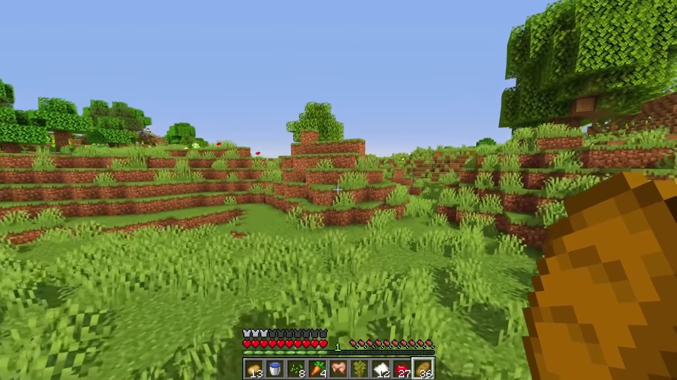 Minecraft Players Goes Out Of The Box, Completes The Game Without Mining A Block