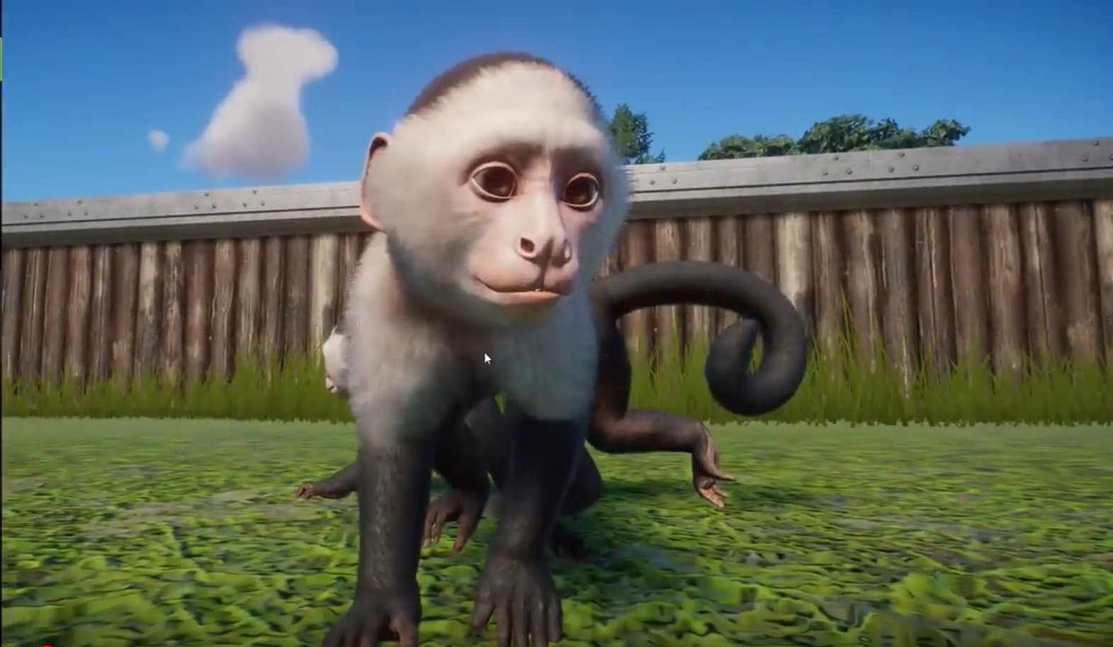 The Zoo Simulator Planet Zoo Just Received Its South America DLC Expansion