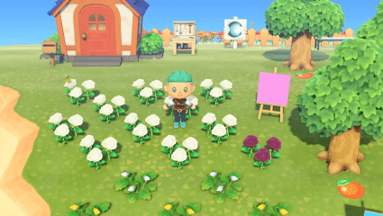 Animal Crossing: New Horizons Datamining Reveals A Surprising Need For Background Knowledge In Mendelian Genetics