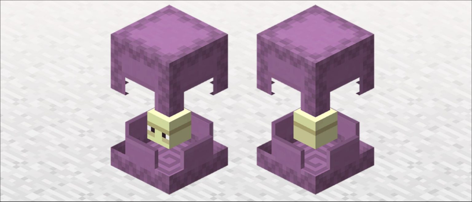 Minecraft's Shulkers A Mob in a Box