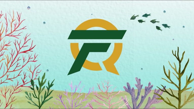 FlyQuest's WildTurtle Reflects FlyQuest's 2020 Spring, Summer Split Alongside World Championship Appearance