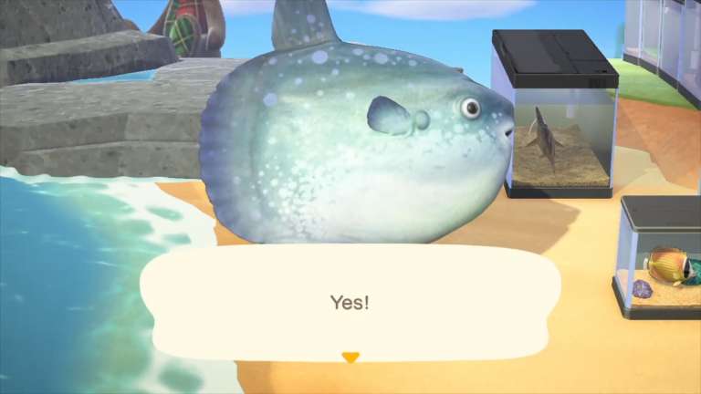 July Fish And Bug Guide For Animal Crossing: New Horizons - All-New Critters And How To Catch Them