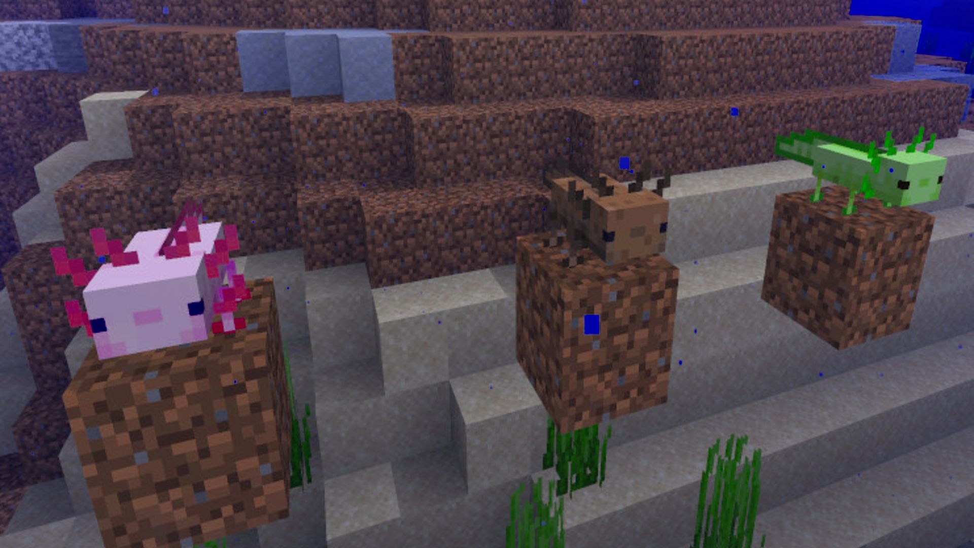 New Mobs Coming To Minecraft: Glow Squid, Axolotls, The Warden And Mountain Goats