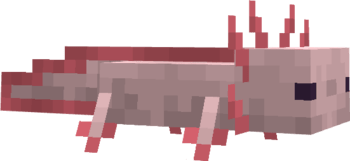 Minecraft Live Explored Axolotl It May Just Be The Cutest Mob In All Of Minecraft