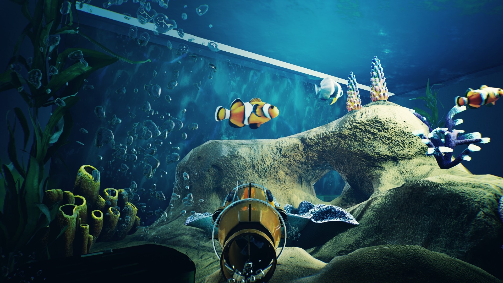 Fishkeeper Is An Upcoming Aquarium Game Inspired By The Sims