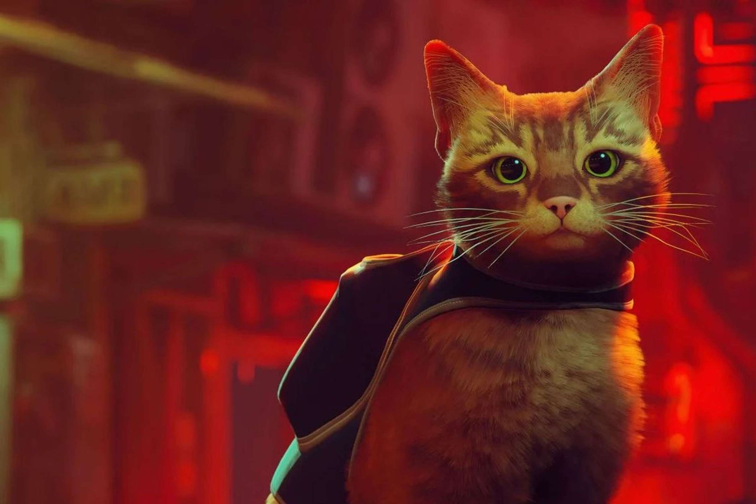 The Biggest Release From Annapurna So Far Is Stray. The Infamous Cat Game Is Off To An Excellent Start