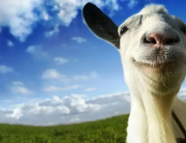 Goat Simulator 3 Is Upping The Ante On What Already Seems To Be A Very Enjoyable Experience With This Allusion To 90s First Person Shooters.