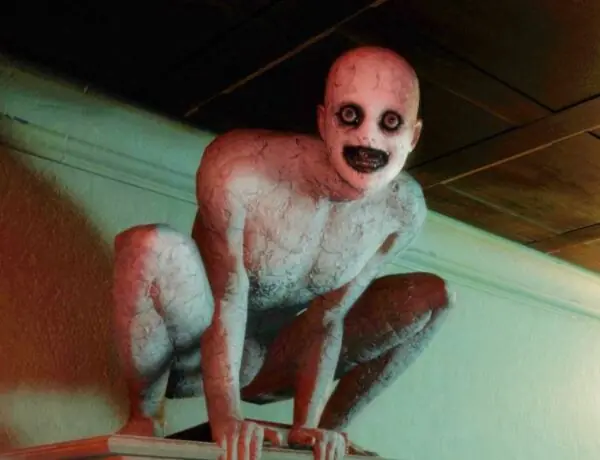 A Big-Screen Option Has Been Given To The Mortuary Assistant, Who Has Had Some Success In The Independent Horror Industry