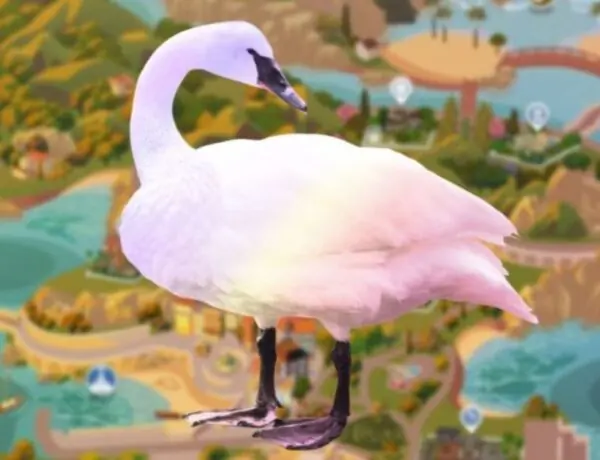 The Sims 4 Players Love The Graphical Error In The Swans In The New Tartosa Setting In My Wedding Stories And Hope It Is Never Repaired