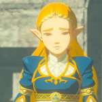 One Legend Of Zelda Supporter Was Inspired To Dress As The Game's Protagonist By The Stunning Royal Blue Of Princess Zelda's Robe In Breath Of The Wild