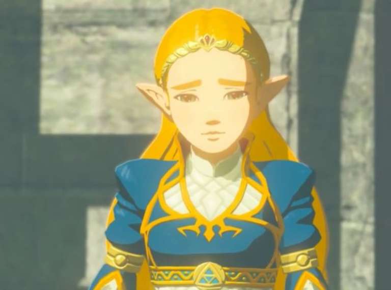 One Legend Of Zelda Supporter Was Inspired To Dress As The Game's Protagonist By The Stunning Royal Blue Of Princess Zelda's Robe In Breath Of The Wild