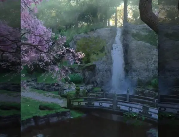 Assassin's Creed Shadows Sparks Heated Debate Online