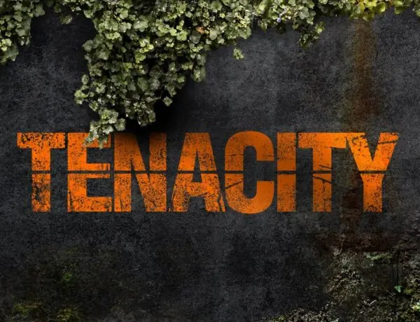 Crafting Your Own Tools in The Division: A New Episode Awaits!