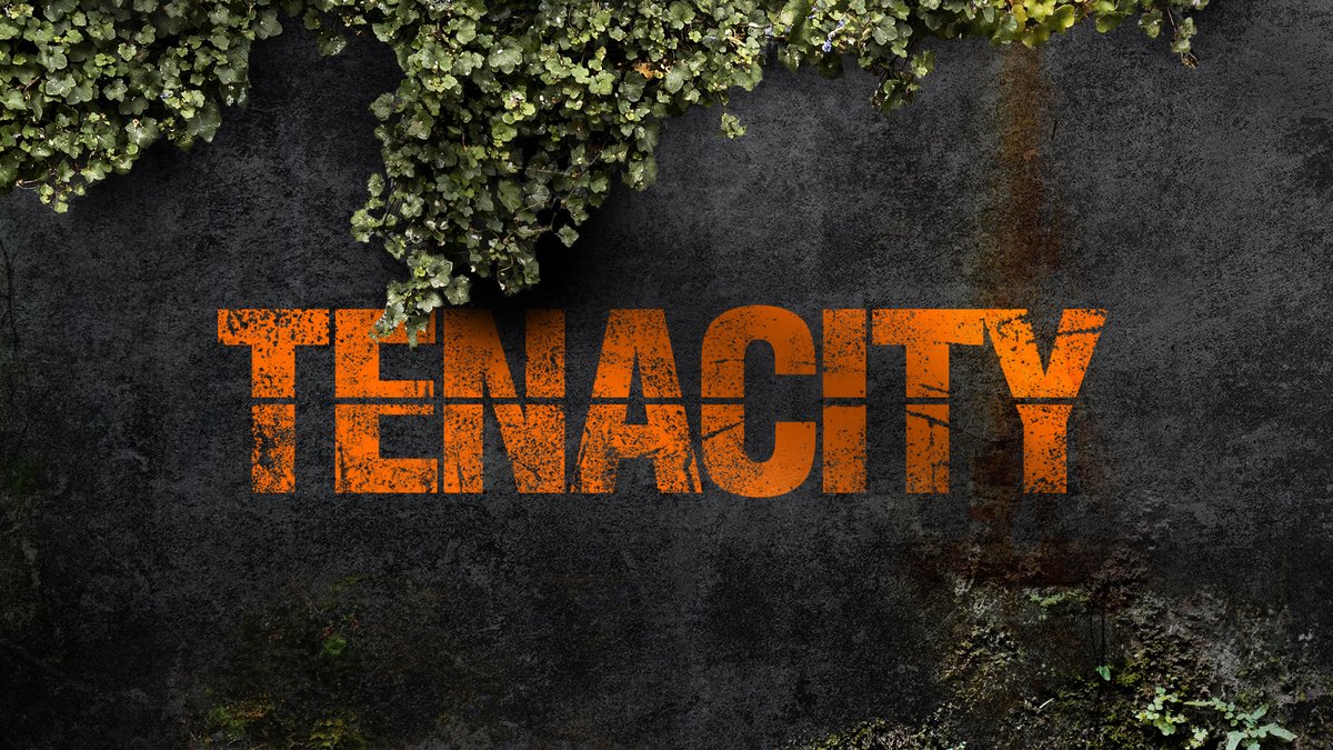 Crafting Your Own Tools in The Division: A New Episode Awaits!