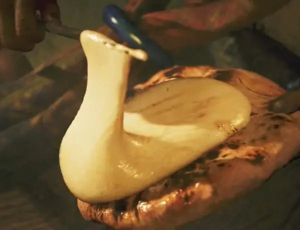 Kunafa Cheese: The Culinary Delight of Monster Hunter