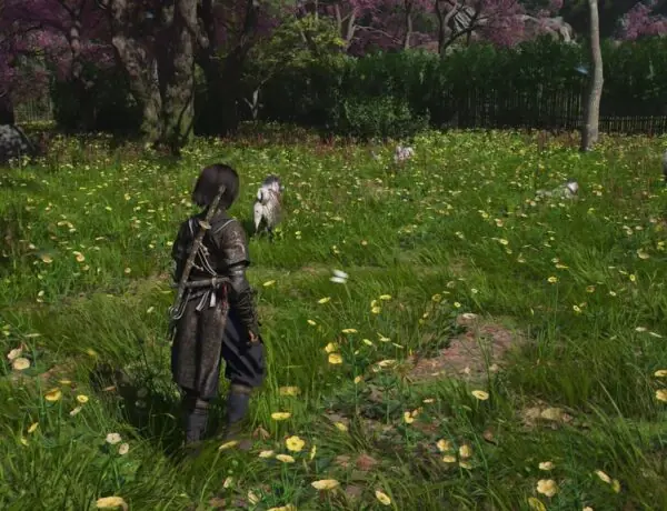 Assassin's Creed Shadows Players Are Obsessed With Hiding 20+ Dogs in Their Hideouts