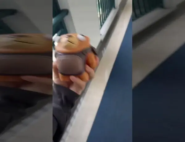 Fans Freak Out Over Mysterious New Game Tease