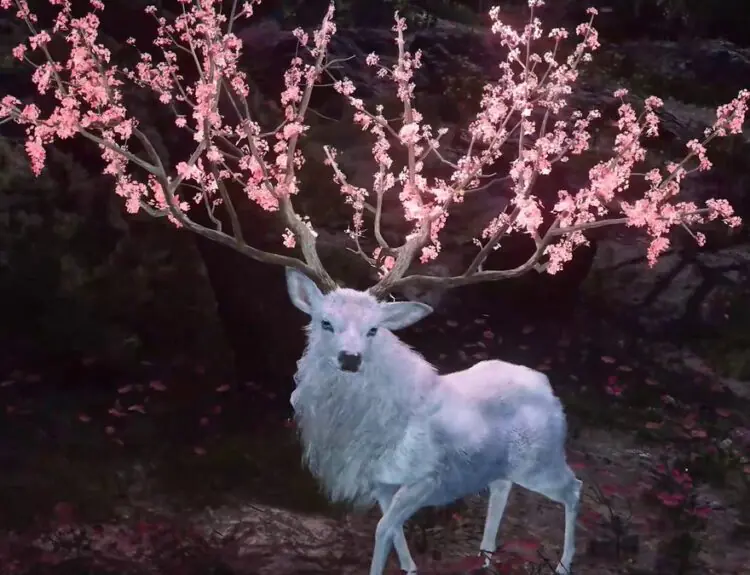 Assassin's Creed Shadows Teases Legendary Shika Deer Hunt