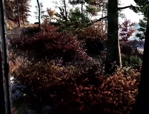 Far Cry 4 Finally Gets 60fps Update After 10 Years – But Fans Aren't Impressed