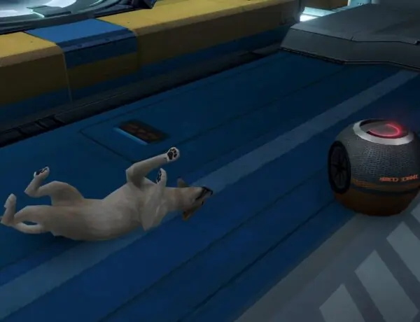 Xenoblade Chronicles X Fans Debate: Cat or Dog for BLADE Barracks?