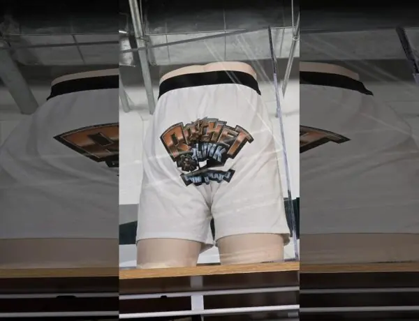 Insomniac Games Displays Ratchet & Clank Underpants Like Priceless Art