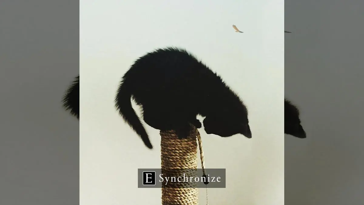 Assassin's Creed Celebrates International Cat Day With Purr-fect Post