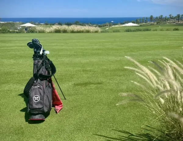 Dr Disrespect Drops Mysterious NDA Tweet While Golfing, Fans Go Wild