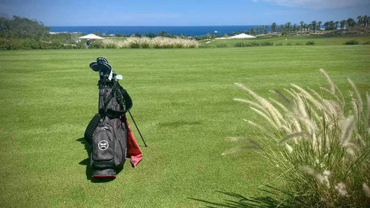 Dr Disrespect Drops Mysterious NDA Tweet While Golfing, Fans Go Wild