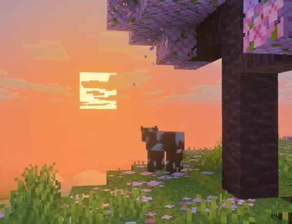 Minecraft Players Demand Switch 2 Version as Summer Vibes Hit