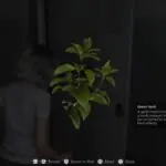 Resident Evil Requiem Brings Back Iconic Green Herb Healing Since 1996