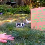 Twitch Asks Gamers If They've Touched Grass Today And The Replies Are Wild