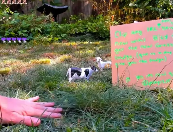 Twitch Asks Gamers If They've Touched Grass Today And The Replies Are Wild