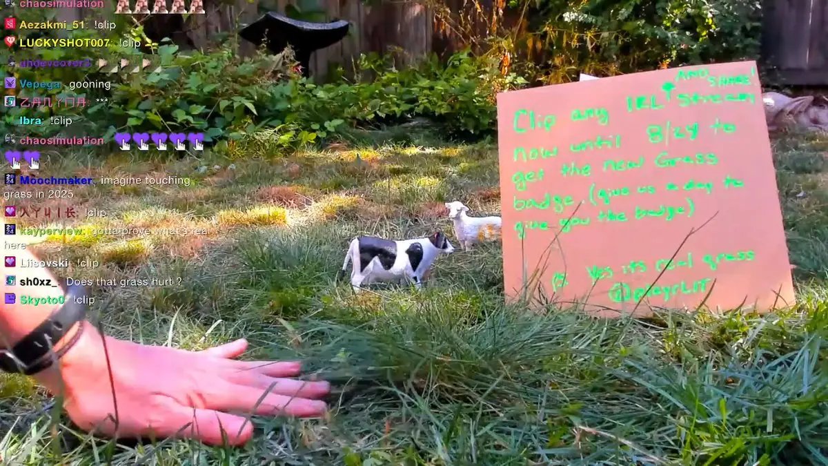 Twitch Asks Gamers If They've Touched Grass Today And The Replies Are Wild