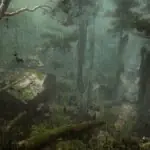 Assassin's Creed Shadows DLC Drama Hits Awaji Island With Bugs And Buyer Rage