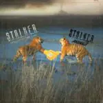 S.T.A.L.K.E.R. Anomaly Mod Goes Official on GOG With GSC Game World Support