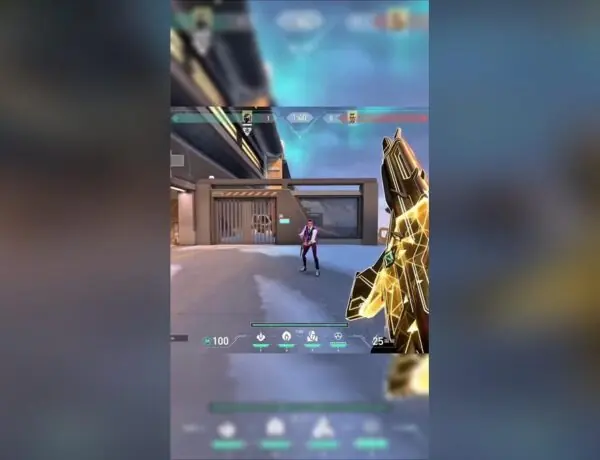 VALORANT's New Champions Skin Looks Exactly Like An Old One And Players Are Pissed