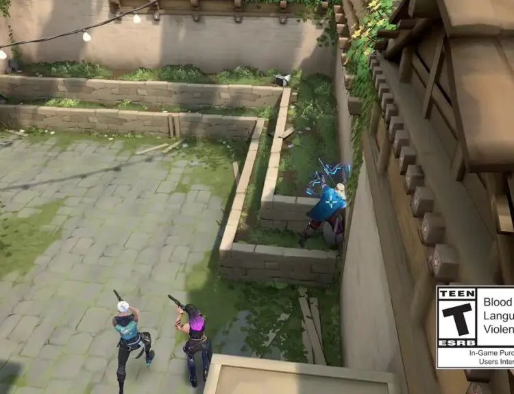 VALORANT's New Dolmir's Revenge Bundle Has Players Divided