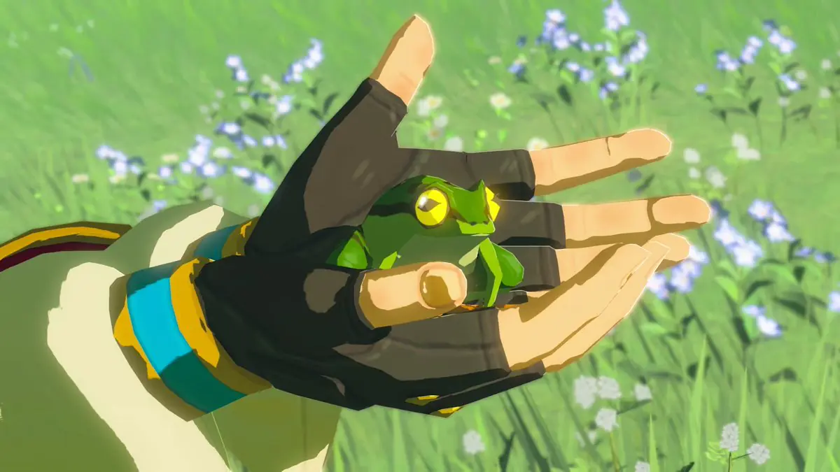 Nintendo's Switch 2 Zelda Tease Has Gamers Going Wild Over a Frog