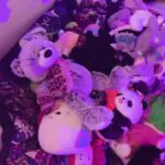 Sentinels Bring Back Aramori as Content Creator, Fans Go Wild