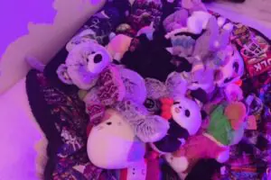 Sentinels Bring Back Aramori as Content Creator, Fans Go Wild