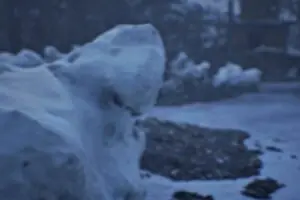 Streamer Aims for Another Million in Path of Exile Live Session