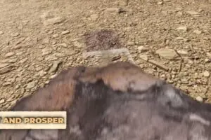 Ancient Farm Simulator Ditches Tractors for Manual Labor in Egypt