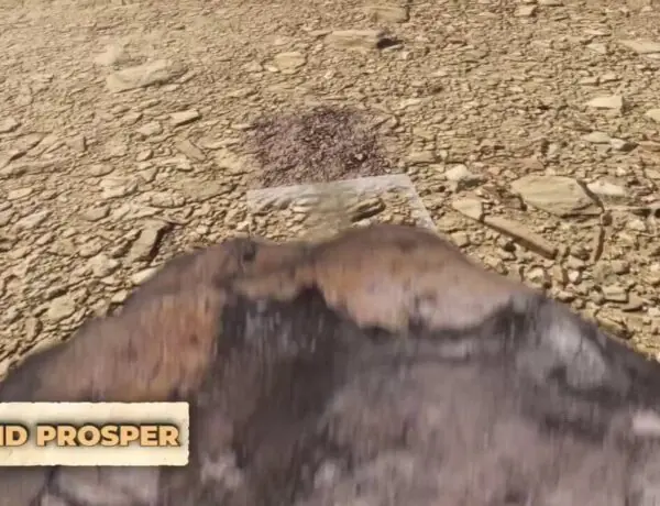 Ancient Farm Simulator Ditches Tractors for Manual Labor in Egypt