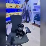 CouRageJD Returns to Arc Raiders After Fortnite Icon Skin Hiatus