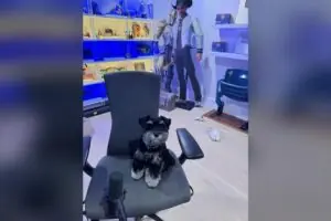 CouRageJD Returns to Arc Raiders After Fortnite Icon Skin Hiatus