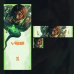 VALORANT's Omega Team Scores New 'Blood & Venom' Playercard, Alpha Players Furious